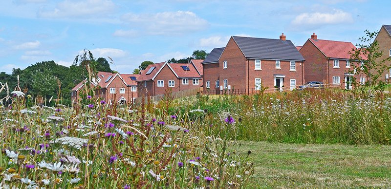 CSA Environmental (@csaenv) on Twitter photo #BNG is a contender for delivering substantial improvements in both the setting & quality of developments. Some options to deliver both beautiful & #biodiverse landscaping are: wildlife ponds, community orchards & grassland. Read more about BNG's future csaenvironmental.co.uk/2021/06/23/the… #BNG is a contender for delivering substantial improvements in both the setting & quality of developments. Some options to deliver both beautiful & #biodiverse landscaping are: wildlife ponds, community orchards & grassland. Read more about BNG's future csaenvironmental.co.uk/2021/06/23/the…