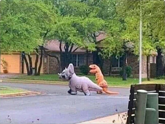 httpsjanee's tweet image. My family:  For sure when she get's a boyfriend, she'll mature.

Me and my boyfriend: