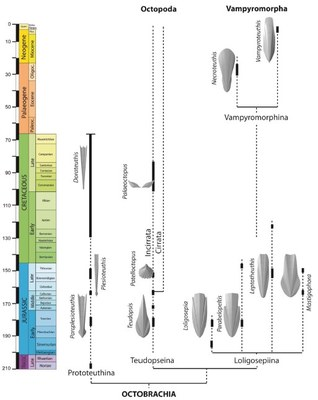 GeolPaleo's tweet photo. Popular science at @PrirodovedaUK, @science_charles, @CharlesUniPRG bring you a tale on ancient evolution of today´s #vampiresquids! Text author is our Ph.D. student Jan Geist.
https://t.co/5K6ZaNZ2vU
Detailed info here: https://t.co/5J1kCZNFuM
#Paleontology #Paleoecology https://t.co/1Gh9coLKTo