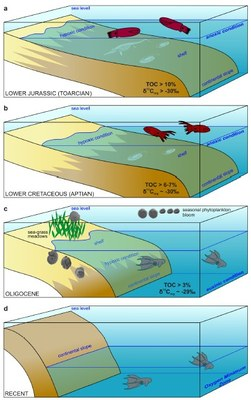GeolPaleo's tweet photo. Popular science at @PrirodovedaUK, @science_charles, @CharlesUniPRG bring you a tale on ancient evolution of today´s #vampiresquids! Text author is our Ph.D. student Jan Geist.
https://t.co/5K6ZaNZ2vU
Detailed info here: https://t.co/5J1kCZNFuM
#Paleontology #Paleoecology https://t.co/1Gh9coLKTo