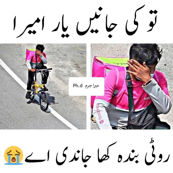 Misbah tweet media