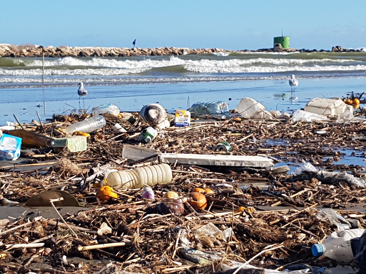 _Retorna's tweet photo. 📸 No hace falta irse muy lejos para comprobarlos. Esta es la desembocadura del Río Segura en Guardamar (Alicante). https://t.co/vzo7pMrHas