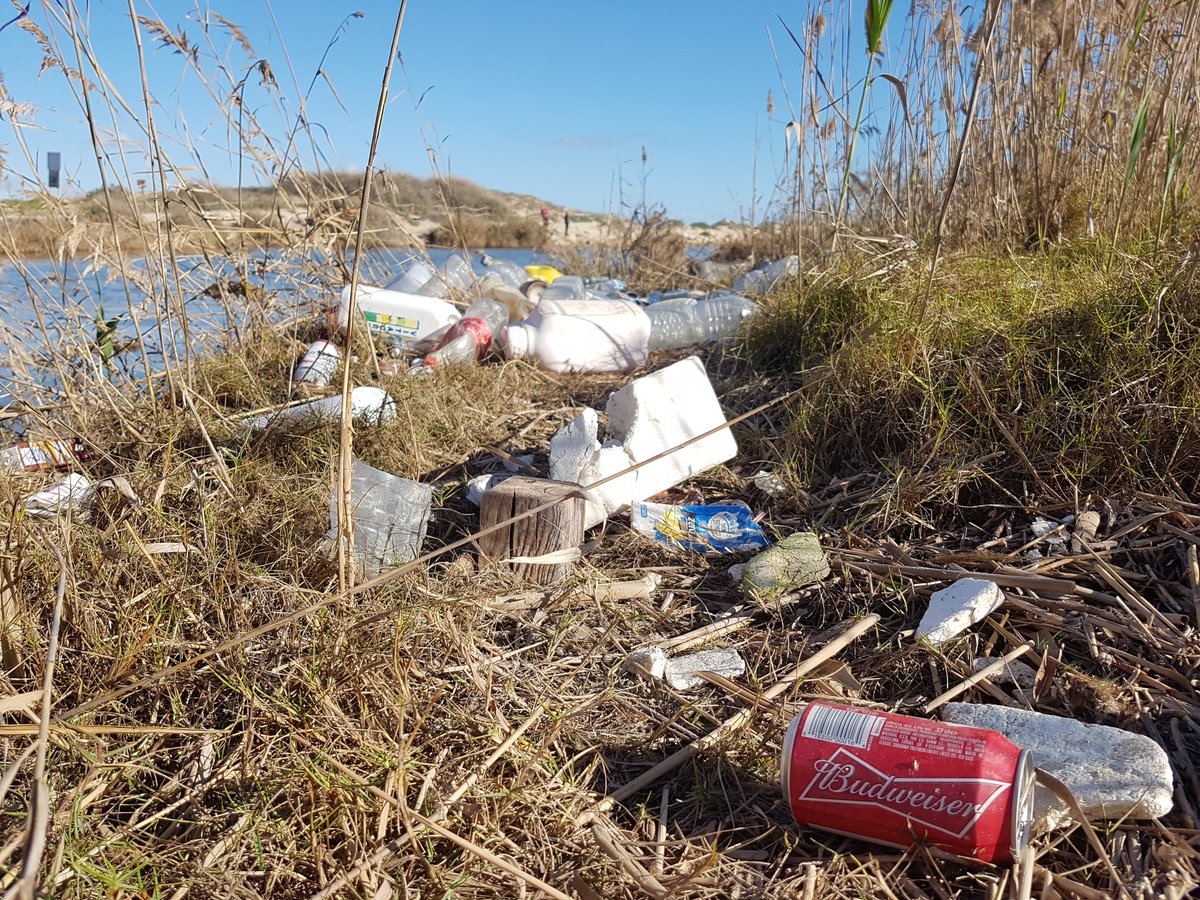 _Retorna's tweet photo. 📸 No hace falta irse muy lejos para comprobarlos. Esta es la desembocadura del Río Segura en Guardamar (Alicante). https://t.co/vzo7pMrHas
