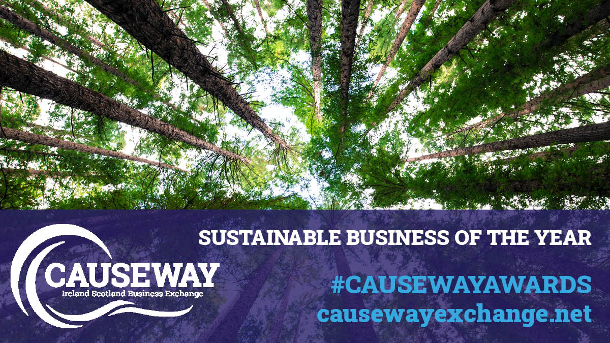 CALL FOR NOMINATIONS FOR SUSTAINABLE BUSINESS OF THE YEAR at our #CAUSEWAYAWARDS 2021! 🌏 This award for an Irish, Northern Irish or Scottish business that has put the #ClimateCrisis and #SustainableStrategies at the core of your business. 👇
causewayexchange.net/awards-2021/aw…