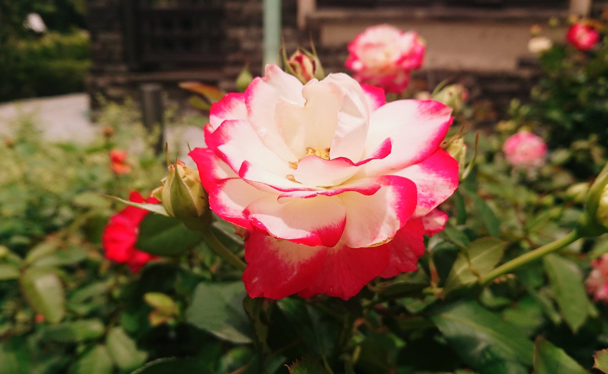 そら (@sora7882) / Posts / X