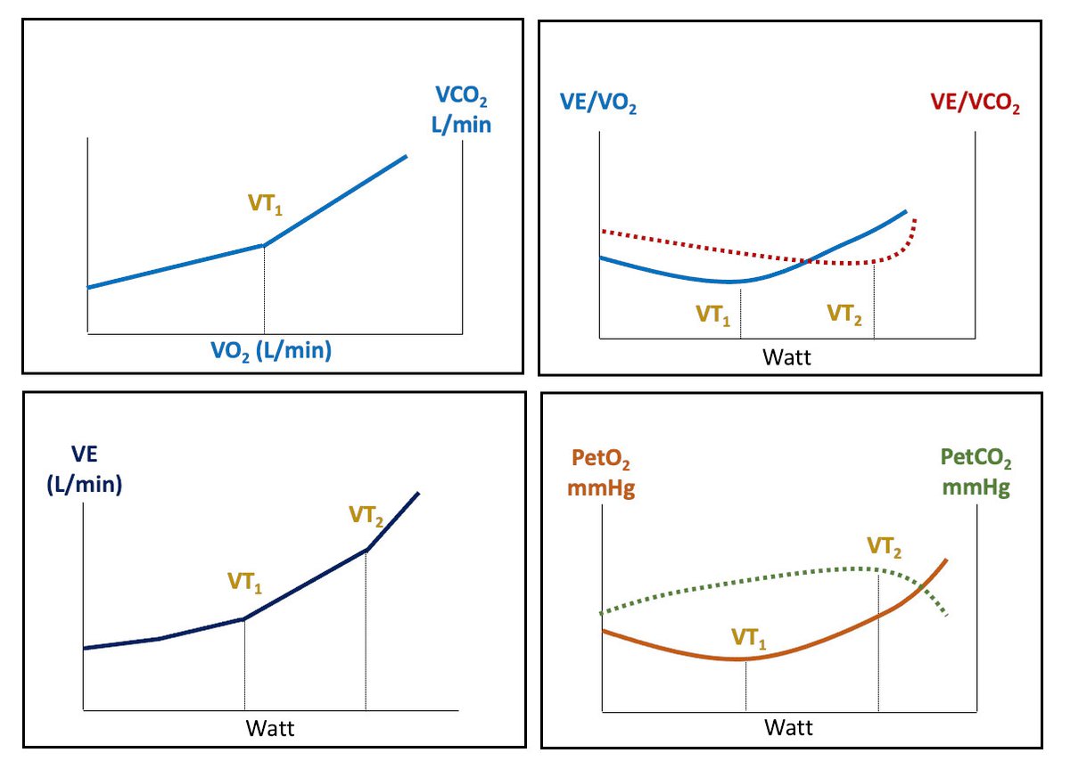 Flavio D'Ascenzi (@flaviodascenzi) on Twitter photo #CPET for prescribing exercise? Please use ventilatory thresholds rather than 'percentages' to define aerobic exercise intensity (at least) in cardiac patients!
Read our latest study!
pubmed.ncbi.nlm.nih.gov/34170582/
<a href="/ProfessorHalle/">Professor Halle</a> <a href="/hansen_phd/">Dominique Hansen, PhD</a> <a href="/PaulDendale/">Paul Dendale</a> <a href="/unisiena/">Università di Siena</a> <a href="/AouSenese/">AouSenese</a> #CPET for prescribing exercise? Please use ventilatory thresholds rather than 'percentages' to define aerobic exercise intensity (at least) in cardiac patients!
Read our latest study!
pubmed.ncbi.nlm.nih.gov/34170582/
<a href="/ProfessorHalle/">Professor Halle</a> <a href="/hansen_phd/">Dominique Hansen, PhD</a> <a href="/PaulDendale/">Paul Dendale</a> <a href="/unisiena/">Università di Siena</a> <a href="/AouSenese/">AouSenese</a>