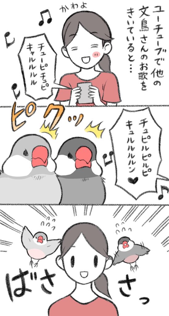 マンガ「チュンに紹介してよ!」

 #buncho #文鳥 