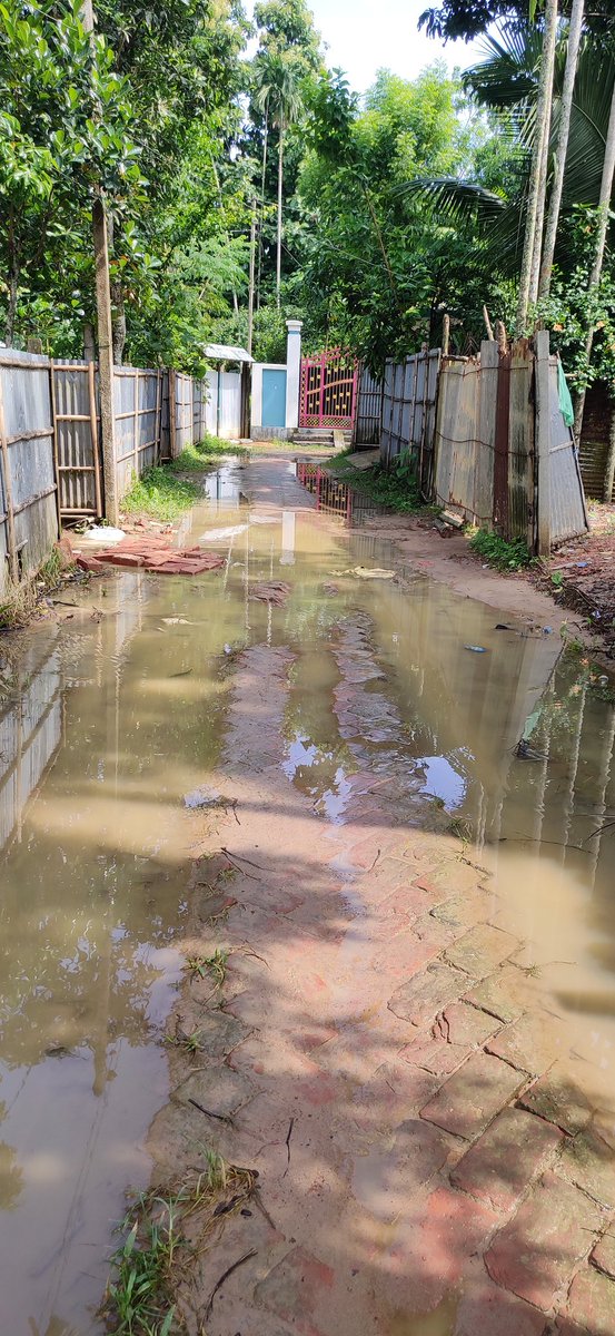 Aspire_high26's tweet photo. SirI'm from Khilpara ward no-2, Udaipur,Gomati dist.Due to continuous raining water logging situation is now in our house &amp; road.There is no system of passing this water.This is happening always in the rainy season.Please address this condition.@tripura_cmo @BjpBiplab @DmGomati https://t.co/Pgr52bzg75