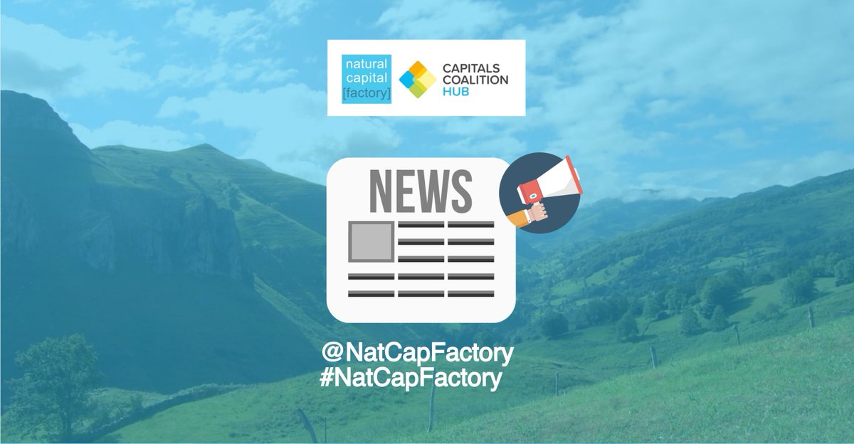 NatCapFactory's tweet photo. Nuestro último boletín contiene mucha #biodiversidad e ℹ️ sobre su relación con:
🌿estabilidad financiera
🌿#riesgosfinancieros
🌿cambio climático
🌿su integración en #capitalnatural desde el prisma de las finanzas #AlignforNature
🌿nuevo @TNFD_
https://t.co/tXnWe37uSz https://t.co/6uaJMApyBu