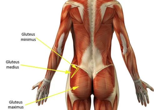 Endurocad tweet media