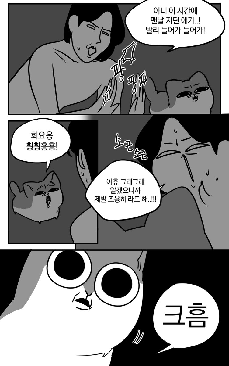 dogidogi_'s tweet image. 어째 고양이는 울지말라 할때마다 더 우는것 같애요