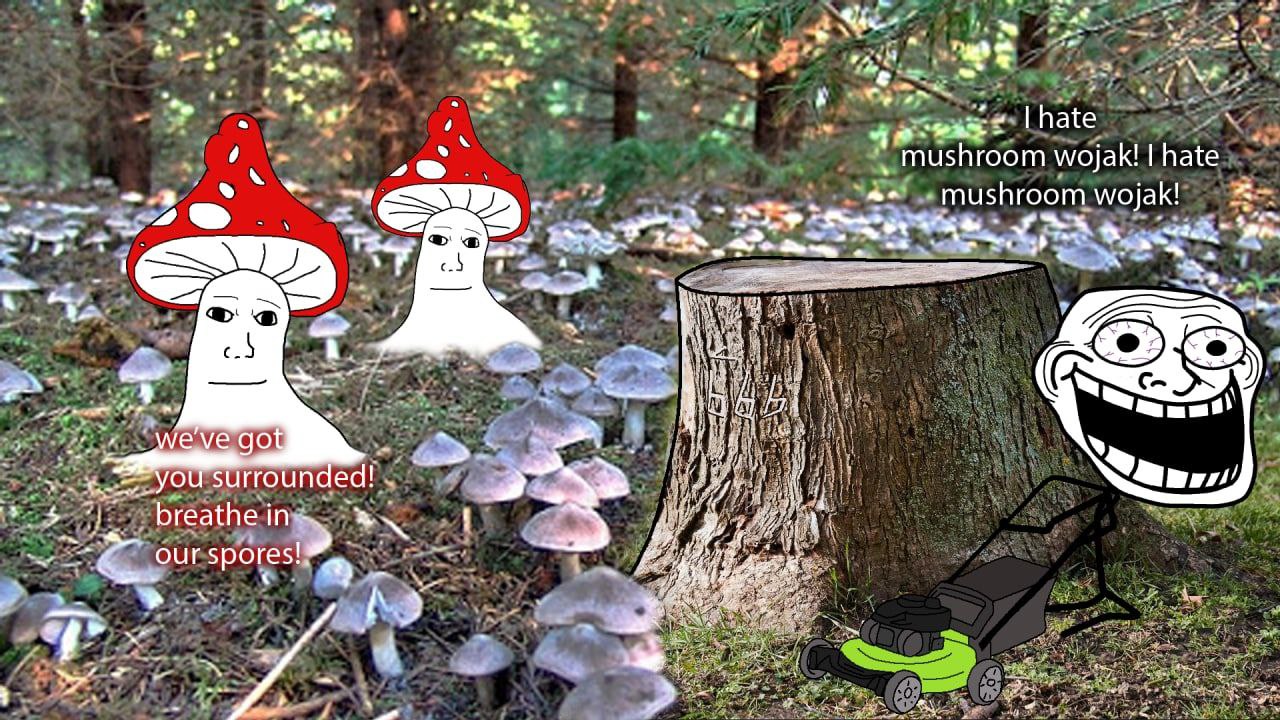 E5rpCw3X0AEeN05?format=jpg&name=large