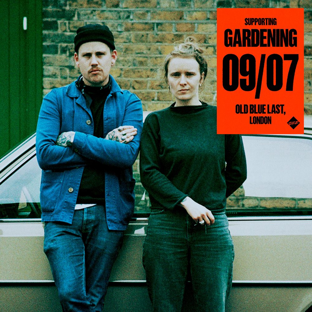 The Daylight tweet media