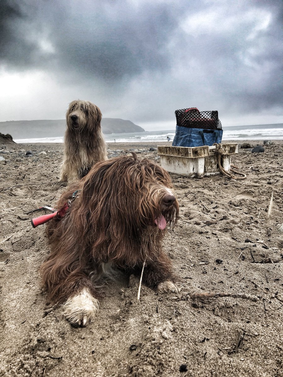 Surf's up!! Lovely couple of hours on the beach!!