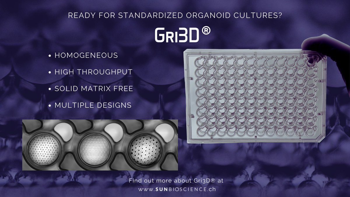 Have you met our #Gri3D yet? Generate hundreds of homogeneous #organoids in a single pipetting step, in an automation-compatible format! Organoid culture was never so easy! Check out all its features here: sunbioscience.ch/products/
#3Dculture #spheroids #research #highthroughput