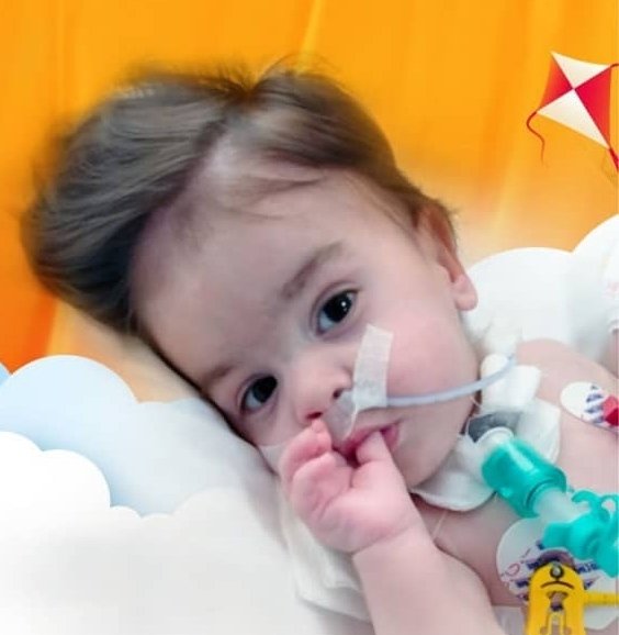 Eren'imiz de Melek Oldu 😭

Başka ne lazım? Nasıl bir acı yaşayalım ki elinizi uzatasınız?
Gelmeyecek artık hiç birisi geriye.

Yazık değilmi? Günah değilmi?
Hangi kitapta var göz göre ölüme göndermek? Ölüyoruz biz, Hergün Ölüyoruz <a href="/eren_sma1/">Eren Sma Melek Oldu</a> <a href="/drfahrettinkoca/">Dr. Fahrettin Koca</a> <a href="/saglikbakanligi/">T.C. Sağlık Bakanlığı</a>