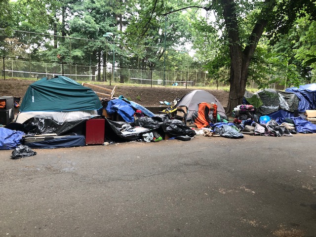 Laurelhurst Park PDX tweet media