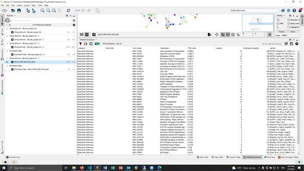 BobbyKlaus3's tweet image. @cytoscape #stringdb since some update in the past month I am not able to reproduce any pathway enrichments made with the String-Plugin in cytoscape. Here are two pictures from the very same dataset I saved beginning of the year. The shorter list is the new calculation.
