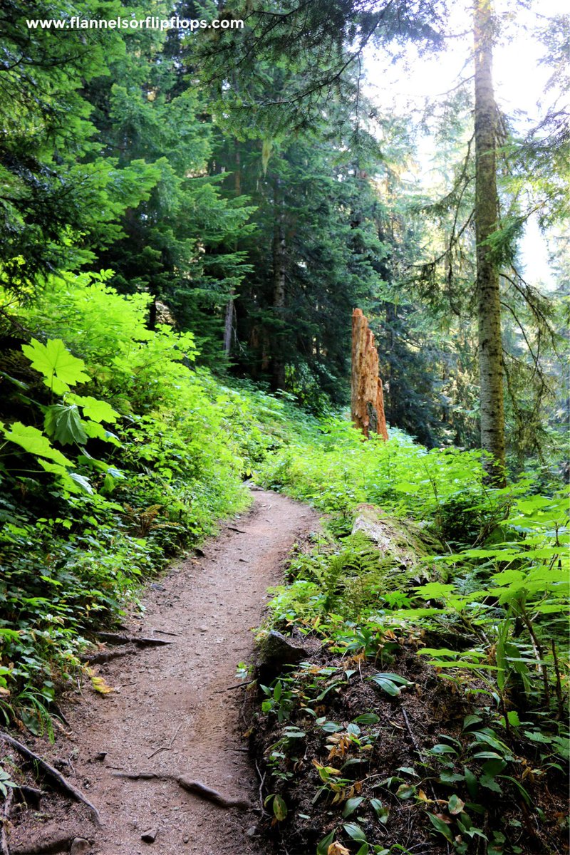 flannelsorflip1's tweet photo. You should plan at least 3-4 days to drive through the park and do a few hikes.
Read more π https://t.co/3KJCwvwKKM
#TravelListAsap #DriveLongDistances #VisitedNationalParks #RoadTripTips #NationalParks https://t.co/t7j4im6RV9