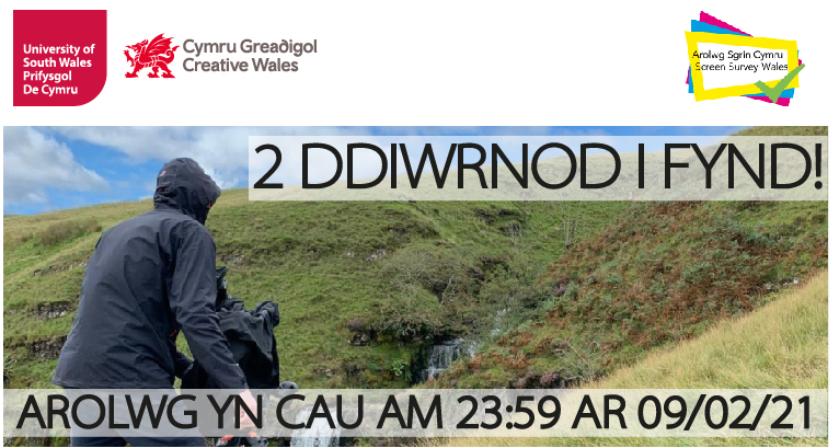 Arolwg Sgrin Cymru // Screen Survey Wales tweet media
