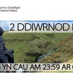 Photo by Arolwg Sgrin Cymru // Screen Survey Wales (@ScreenWales)