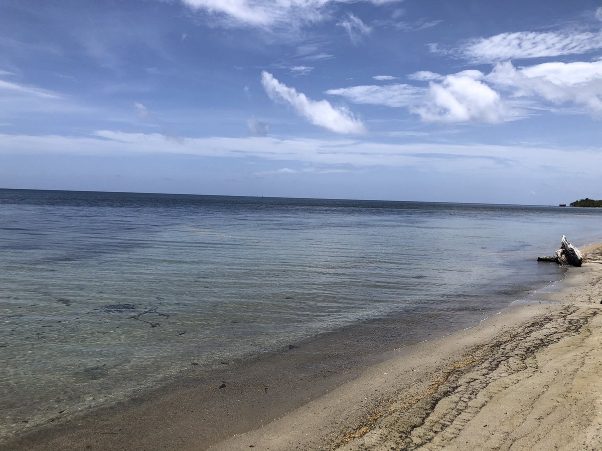 rolandsgardenGH's tweet photo. Las playas de Guanaja serán solo para ti. Ven y conoce la isla con nosotros #guanaja #Honduras #visitguanaja https://t.co/vFq5gXgcDW