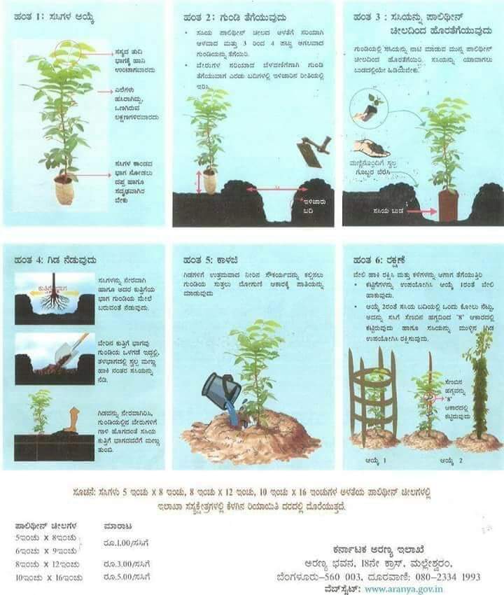 Mysore forest division tweet media