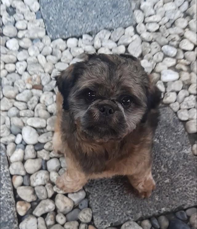 Run Free our Moscow,we will miss you🥺🥺🥺