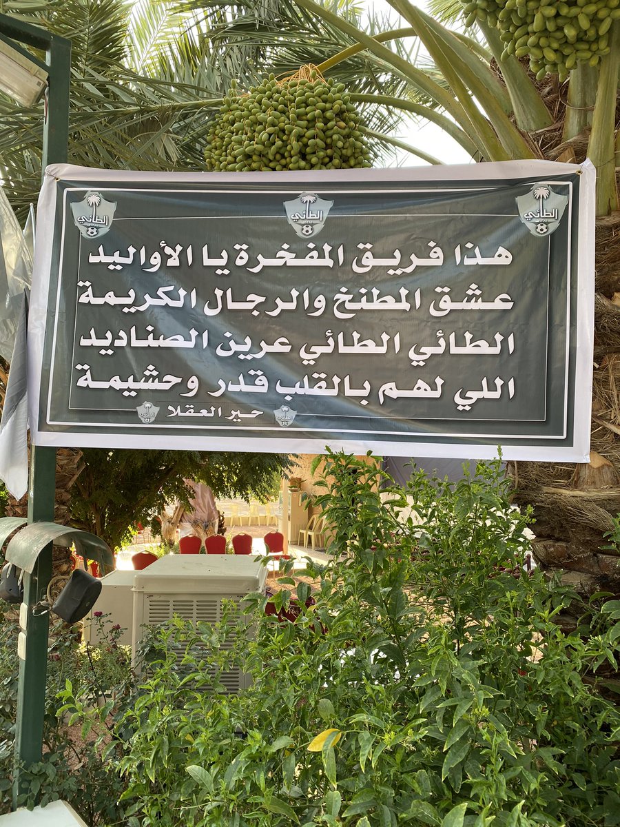 #الطائي
