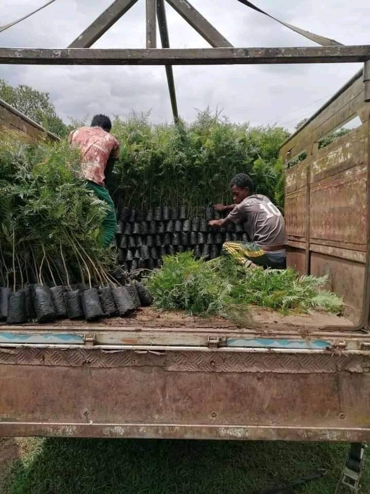 MillionTrees_Ug's tweet photo. Environmental Activism as @mtni_ug continue to donate & grow more trees to areas of #EasternRegion. We believe that @Covid19 outbreak is related to #abnormal Climate changes & Environmental destruction globally. @UNDPClimate @theGCF @ICLEI @icpac_igad @UNFCCC #GreeningUgCampaign https://t.co/vpYRqEfTxa
