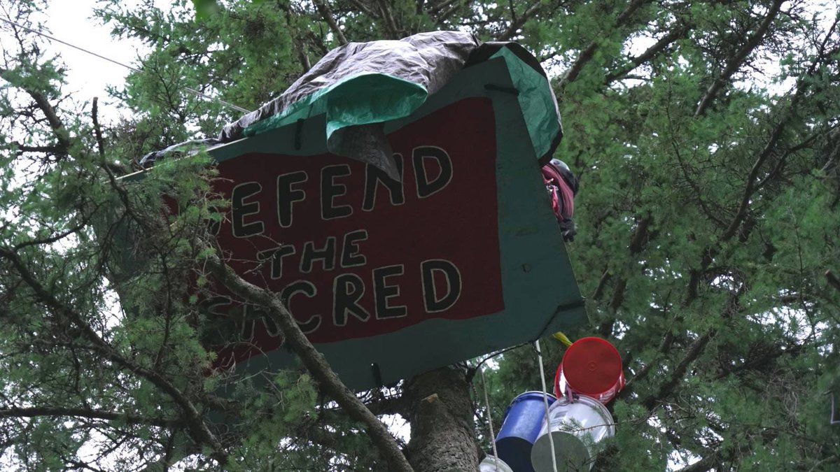 giniw collective tweet media