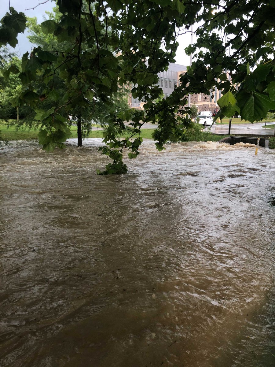 LEWASLab tweet media