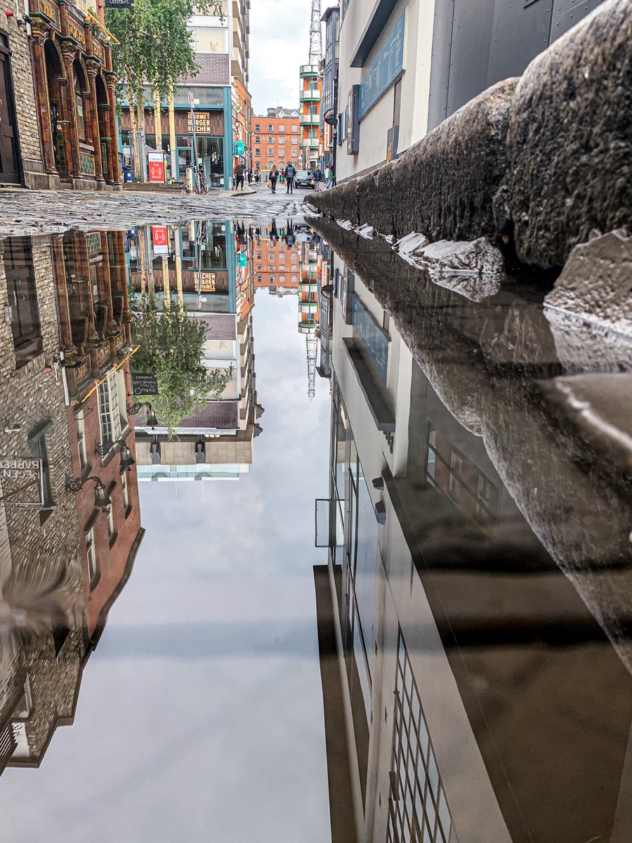 Glance Through My Lens Photography tweet media