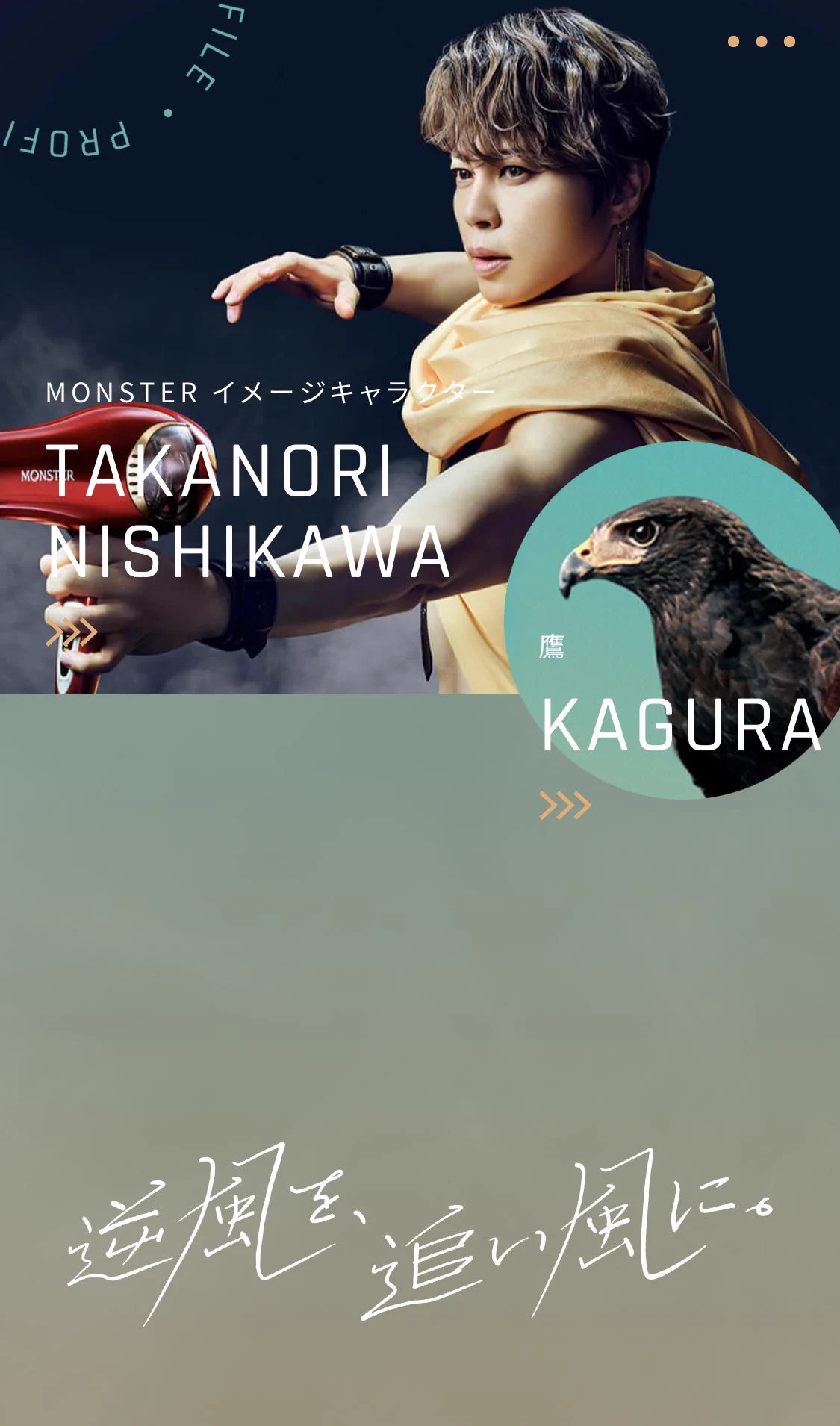 イメージキャラクターが西川貴教さんだと納得して購入してしまう！？一瞬で乾くドライヤーの広告に注目！
