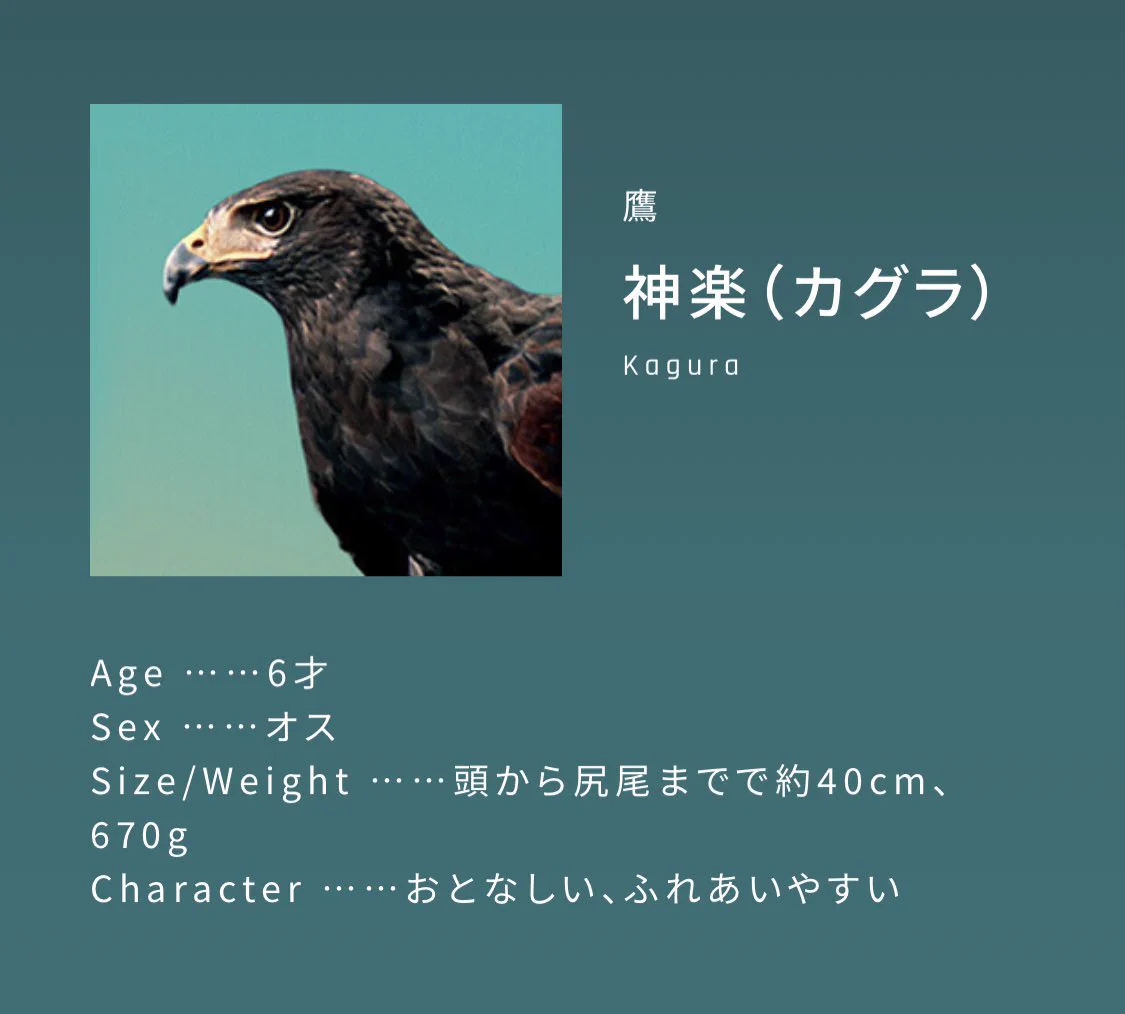 イメージキャラクターが西川貴教さんだと納得して購入してしまう！？一瞬で乾くドライヤーの広告に注目！