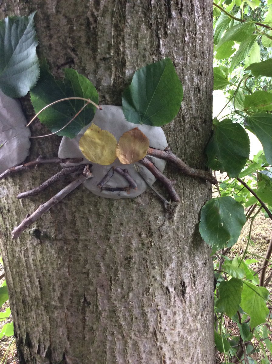 EHorsendale's tweet photo. Today’s Welly Wednesday we went out to make clay faces on the trees. They look fantastic! All so different and quirky. The children loved it! #eyfs #wellywednesday #clayfaces @HorsendalePS https://t.co/kSuzBMAPPE