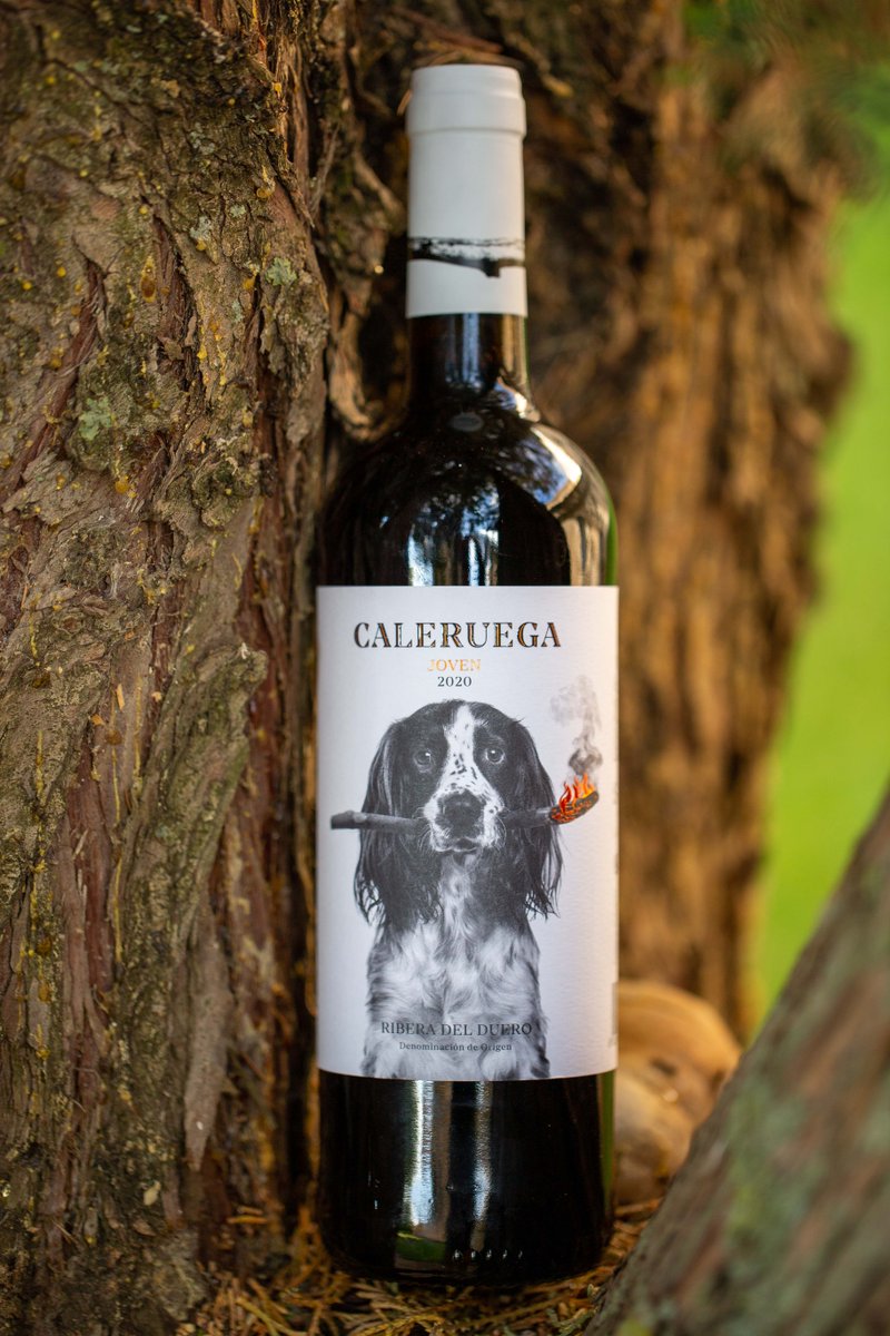 La beata Juana de Aza soñó que daba a luz un perrito con una antorcha encendida en su boca y acudió a Sto. Domingo de Silos pidiendo un buen alumbramiento. Este niño, al fundar los <a href="/dominicos_es/">Dominicos</a> fue la verdadera antorcha que, con su predicación, regeneró la fe en el mundo.