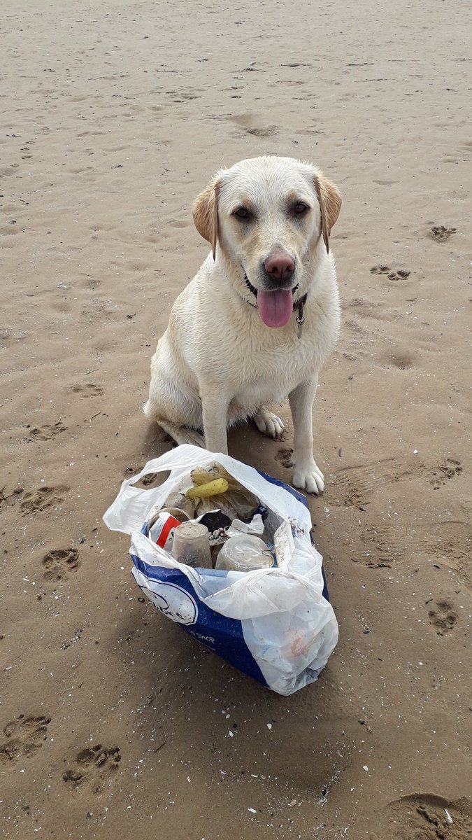 Today we collected this rubbish from the #beach  as the tide was going out! #takeyourlitterhome #binit