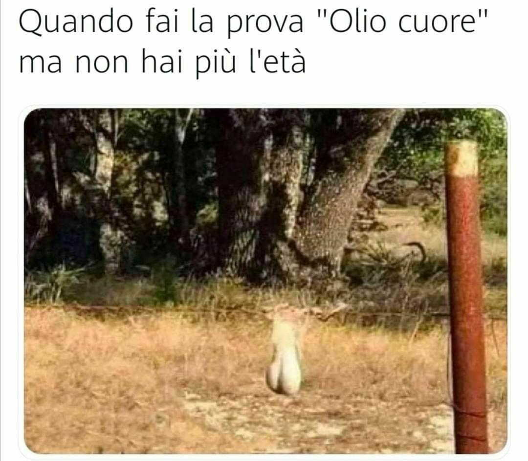 1982Capone's tweet image. 😂😂😂🌌