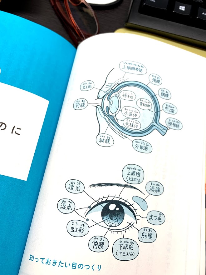 (お仕事)書籍「ハーバード × スタンフォードの眼科医が教える 放っておくと怖い目の症状25」 イラストを担当いたしました!目の構造やストレッチ、ツボなどのセルフケアの方法なども紹介されております。7/7より発売中です!https://t.co/nuui11RxaG 
