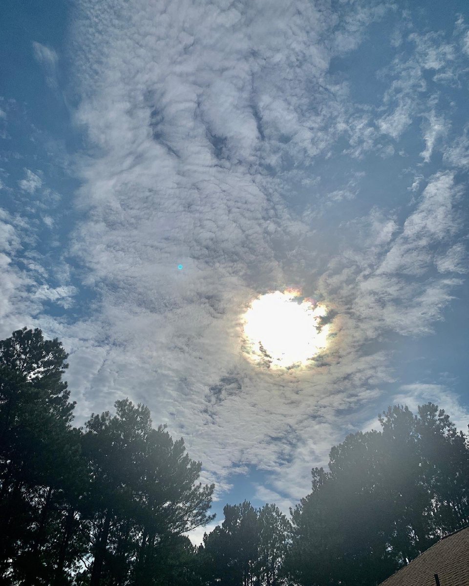 Veenacos @ ONLYFANS (@Veenacos) Twitter (@Veenacos) — Twitter - DaftSex HD