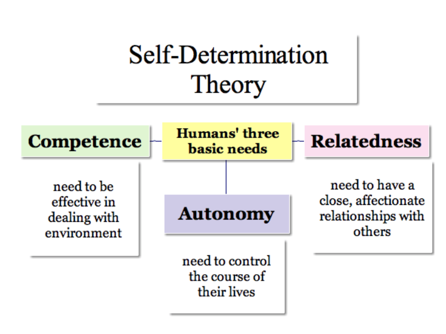 I always love it when I get to talk to my clients about Dr. Deci’s work and Self-Determination Theory positivepsychology.com/self-determina… Anyone working with teams needs to understand motivation much, much better. <a href="/Agility3R/">Agility3R #a3r</a> #a3r