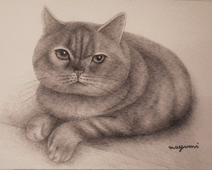 鉛筆画オーダーのTwitterイラスト検索結果(古い順)。