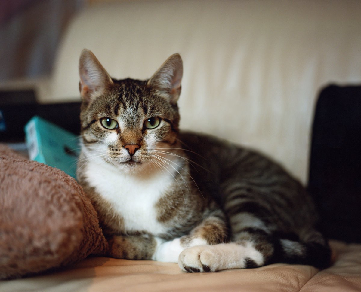 Thank you <a href="/itameshii/">L37c</a> for a very nice camera. :3
#Portra800 #BronicaGS1