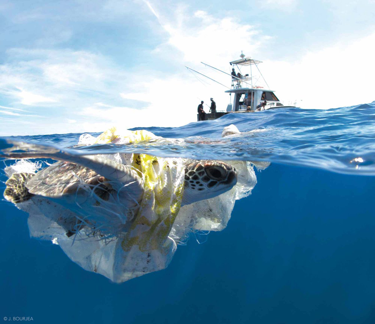École Pratique des Hautes Études - PSL tweet media