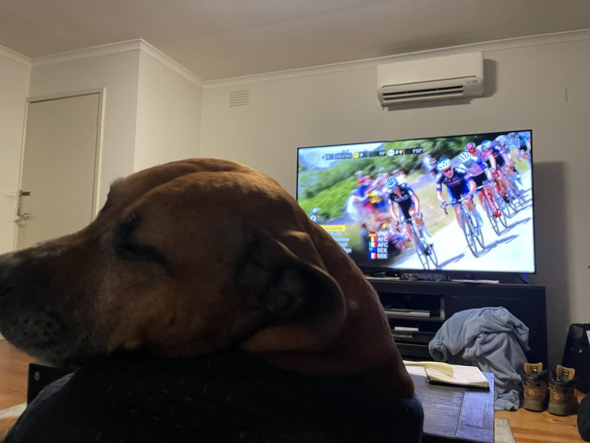 NickoOlney's tweet photo. #fletchdoesfrance #couchpeleton #dogsoftwitter #sbstdf  @miketomalaris @mcewenrobbie @davemacka @Bridie_OD https://t.co/iqo8ePbKJS