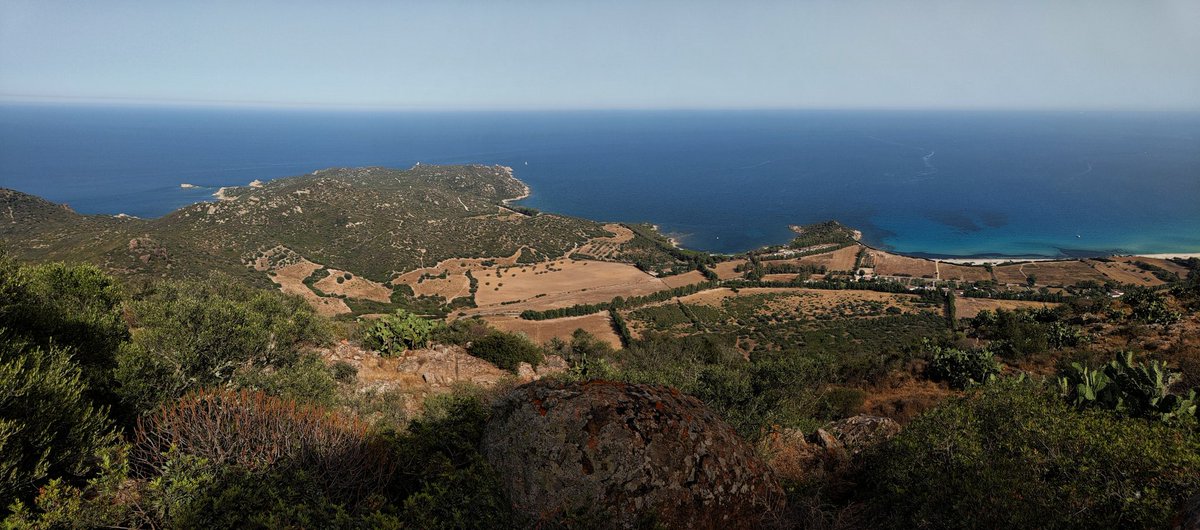 kispio_or's tweet photo. Continuo a chiedermi perché non mi sia ancora trasferito a vivere a #Muravera e non dover fare quasi un'ora di viaggio per vedere tutto questo.

#CapoFerrato #MontiFerru #Sarrabus #Sardegna #trekking https://t.co/TXRpcTe0eI