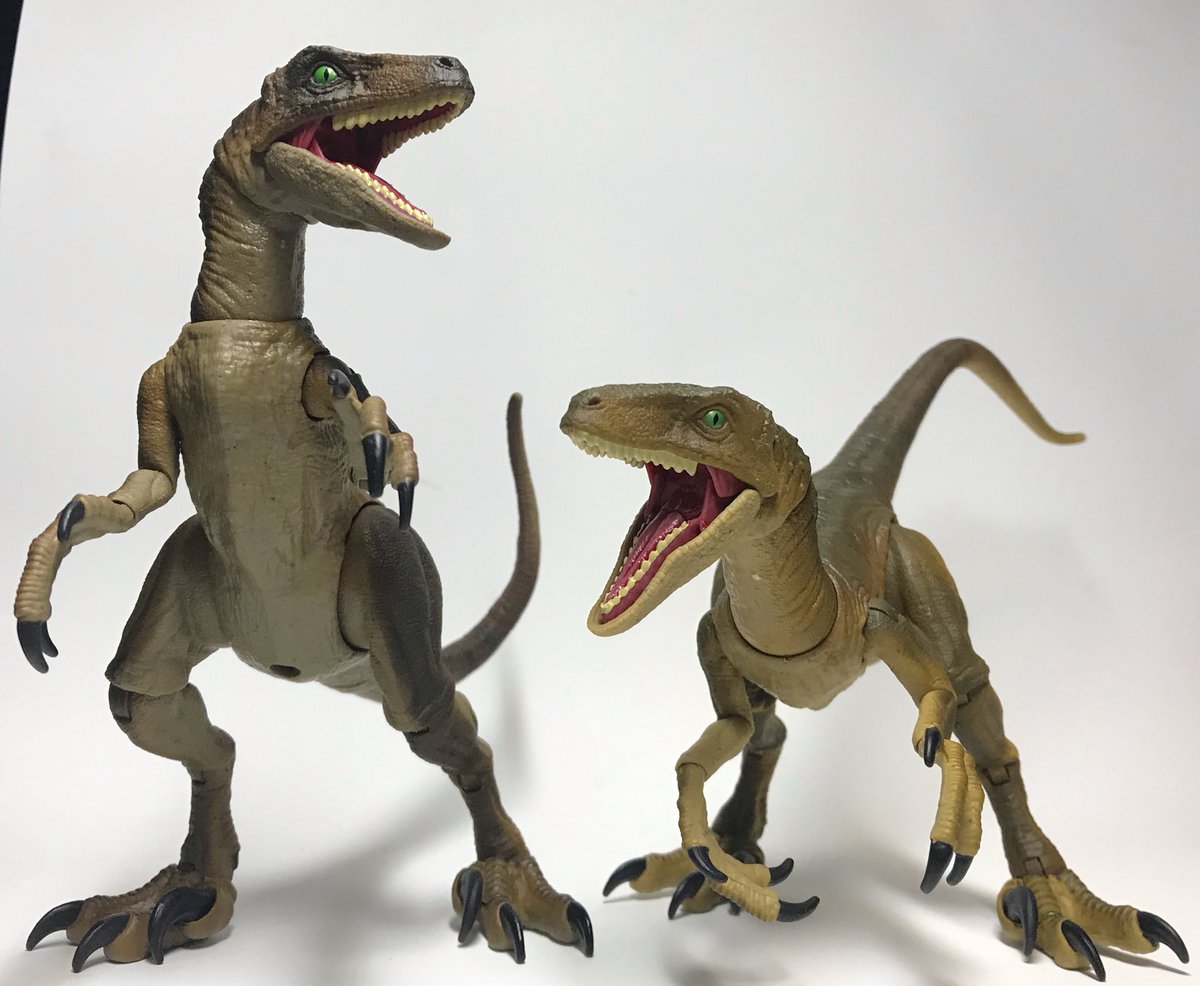 マテル アンバーコレクションのヴェロキラプトル。 このシリーズ7匹目
