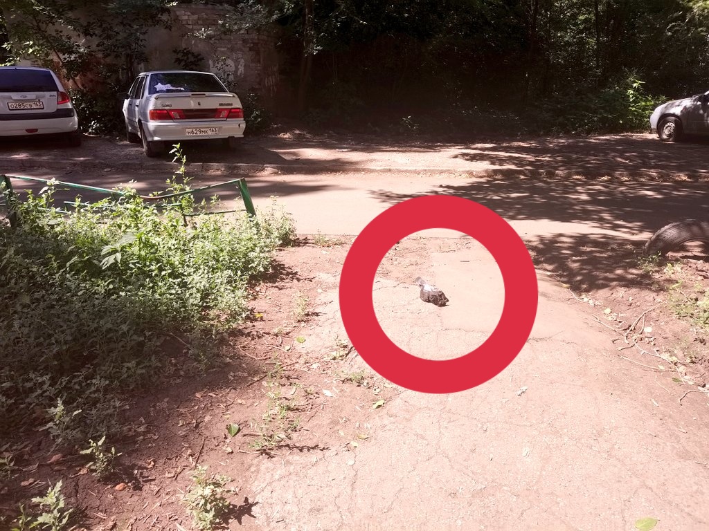 Кондыкер Тлиужанович Симбаев tweet media