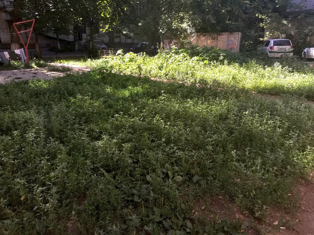 Кондыкер Тлиужанович Симбаев tweet media